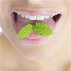 Browse Bad Breath Bad Breath