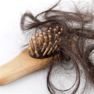 Browse Hair Loss Hair Loss