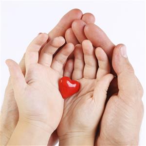 Browse Healthy Heart & Circulation Healthy Heart & Circulation