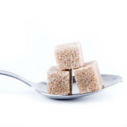 Browse Sugar Free Sugar Free