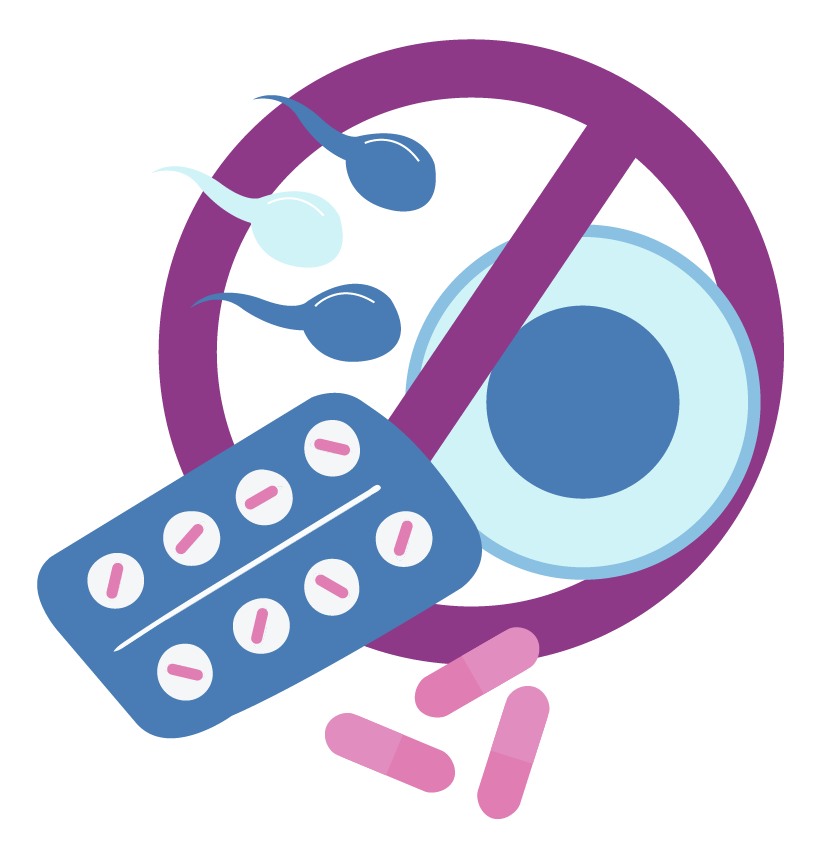 An illustration of emergency contraceptive pills stopping sperm from reaching an egg