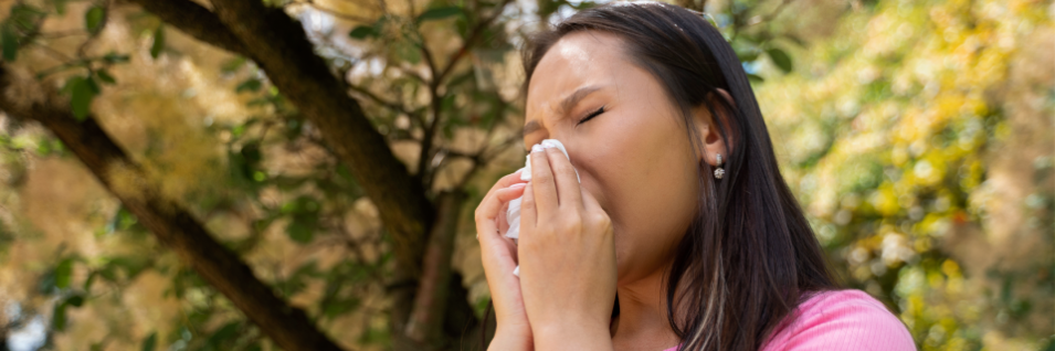 Hay fever 2025